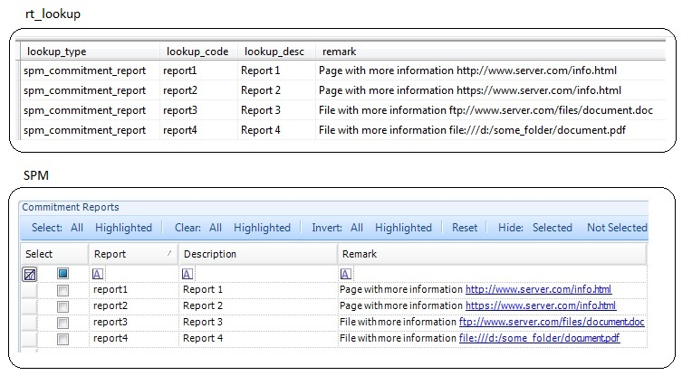 20021-RTLookup