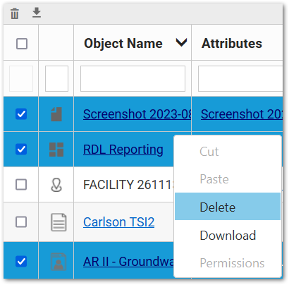 Ent-Explorer_Widget-Multi-Delete